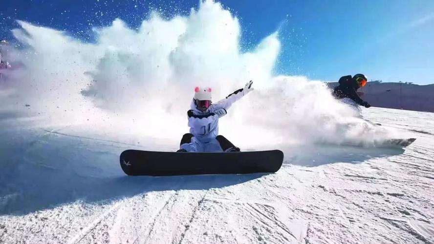 点击查看图片来源