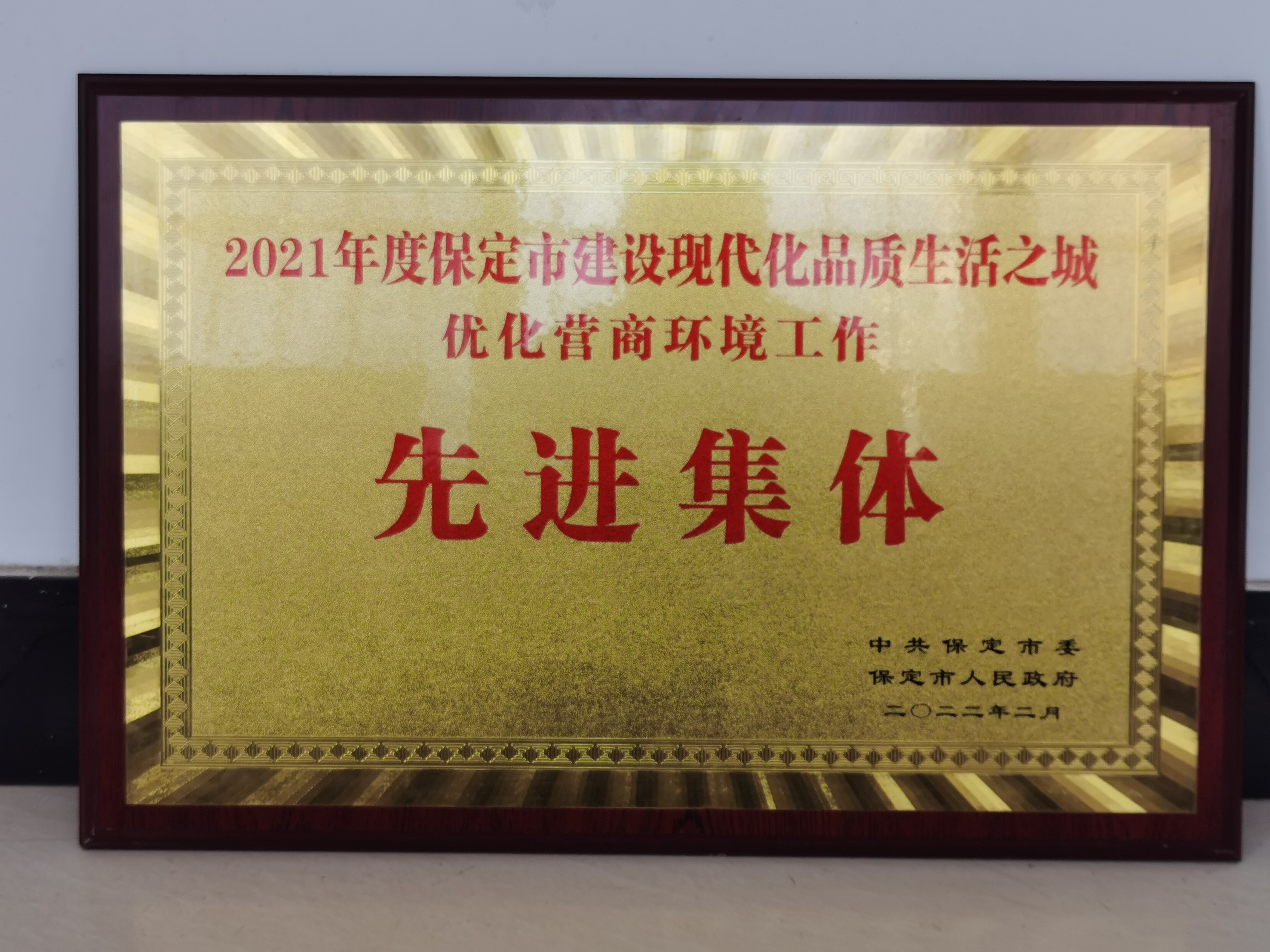 行政审批局保定市建设现代化品质生活职称优化营商环境工作现金集体.jpg